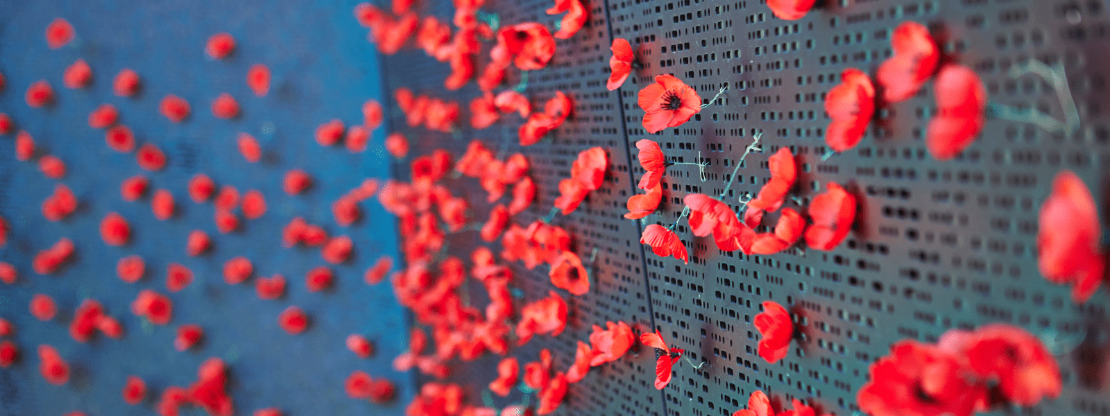 Red poppies on a black external wall at the Shrine of Remembrance