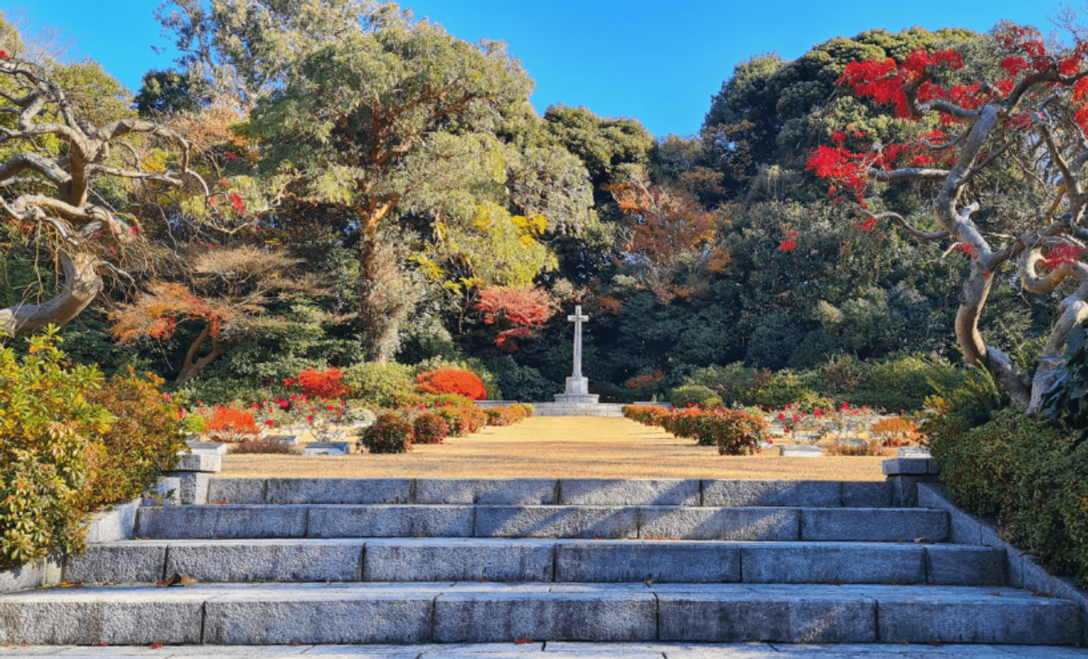 The Hodogaya War Cemetery. In the centre of the image is a large, white cross. In the foreground there are stairs leading up to the cross and on either side there are an abundance of colourful plants and trees.